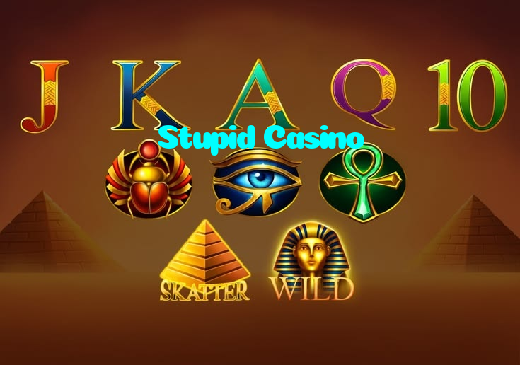 Stupid Casino